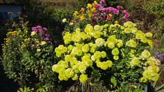 작은꽃밭님의 자유주제 · 자유게시판 작성글 사진