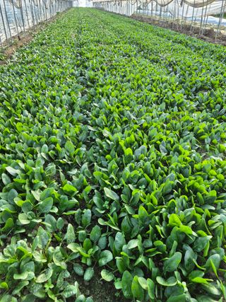 박정규님의 자유주제 · 자유게시판 작성글 사진