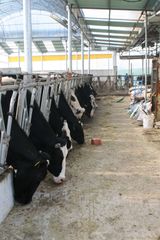 팜모닝 자유주제·자유게시판 게시글 이미지