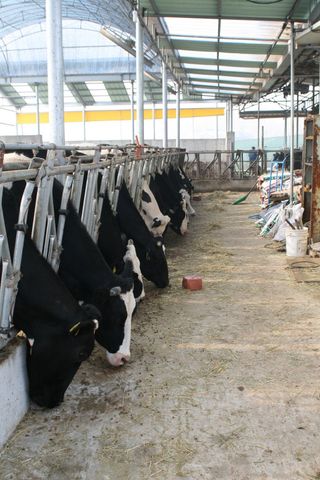 이정민님의 자유주제 · 자유게시판 작성글 사진