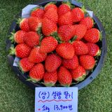 팜모닝 자유주제·자유게시판 게시글 이미지