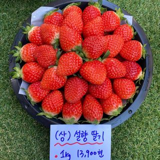 박진하님의 자유주제 · 자유게시판 작성글 사진