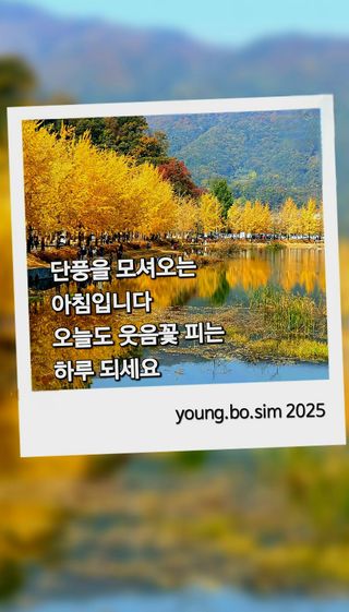 늘푸름(심영보)님의 자유주제 · 자유게시판 작성글 사진