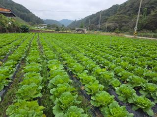 오태원님의 자유주제 · 자유게시판 작성글 사진