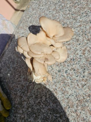 강물처럼님의 자유주제 · 자유게시판 작성글 사진