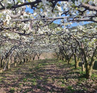 윤성한님의 작성글 사진