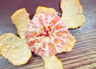 김행복님의 작성글 사진