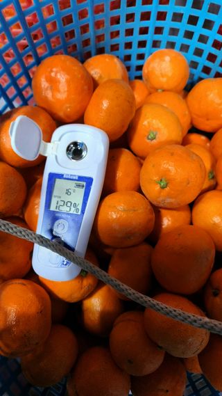 김행복님의 작성글 사진