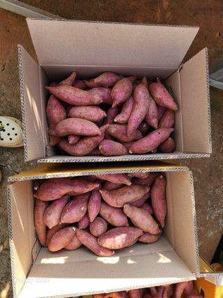 송아지님의 작성글 사진