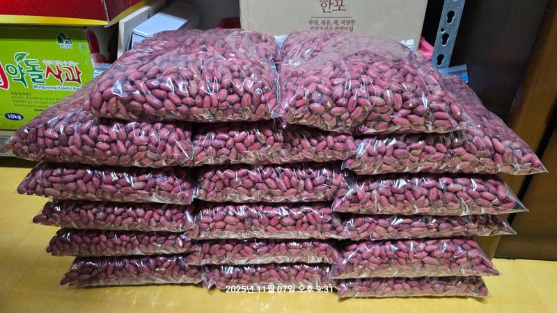 황규복(달구지)님의 장터 판매 상품 [적색땅콩] 첨부 사진