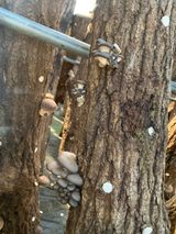 팜모닝 자유주제·자유게시판 게시글 이미지