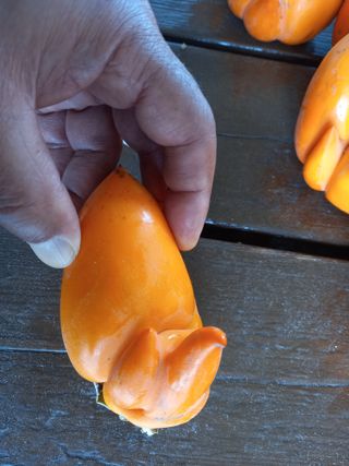 김낙교님의 자유주제 · 자유게시판 작성글 사진