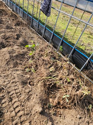 김두영님의 자유주제 · 자유게시판 작성글 사진