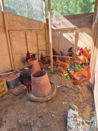 귤19190님의 작성글 사진