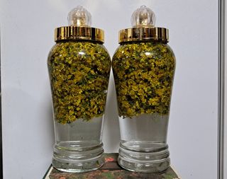 이정운님의 자유주제 · 자유게시판 작성글 사진