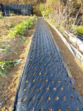 이박농장님의 자유주제 · 자유게시판 작성글 사진