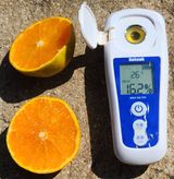 팜모닝 · 게시글 이미지