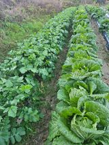 팜모닝 자유주제·사진전 게시글 이미지