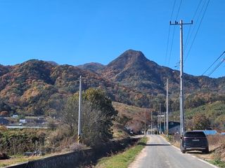 MSG0074님의 자유주제 · 자유게시판 작성글 사진