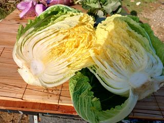 이정민님의 자유주제 · 자유게시판 작성글 사진