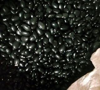 박진하님의 자유주제 · 자유게시판 작성글 사진