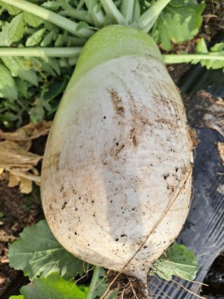 이정민님의 자유주제 · 자유게시판 작성글 사진