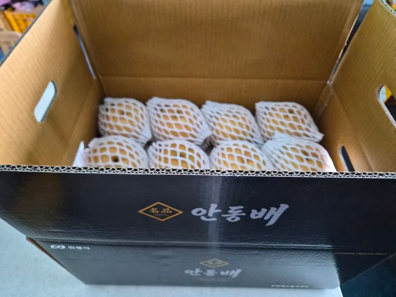 장터 상품 [[농장직판 특가 한정] 안동햇배(가정용,선물용) / 100%순수 배즙(전상품 택배비 포함)] 썸네일