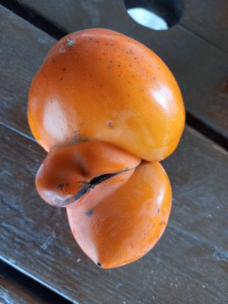 김낙교님의 자유주제 · 자유게시판 작성글 사진