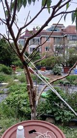 팜모닝 · 게시글 이미지