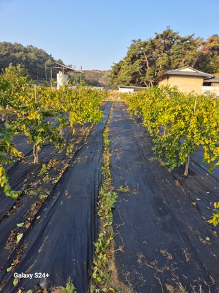 전홍열님의 작성글 사진