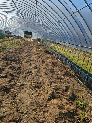 김두영님의 자유주제 · 자유게시판 작성글 사진