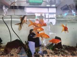 MSG0074님의 자유주제 · 자유게시판 작성글 사진