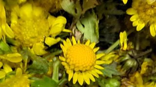 이정운님의 자유주제 · 자유게시판 작성글 사진