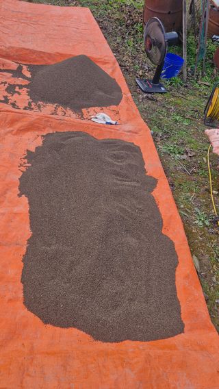 정석구님의 자유주제 · 자유게시판 작성글 사진