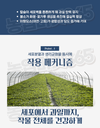 농업마켓365님의 작성글 사진