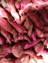 팜모닝 · 게시글 이미지