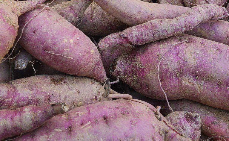 장터 상품 [고구마 10kg] 썸네일