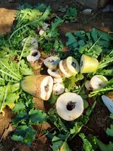 팜모닝 자유주제·자유게시판 게시글 이미지