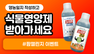 팜모닝님의 팜모닝공식 · 공지 작성글 사진