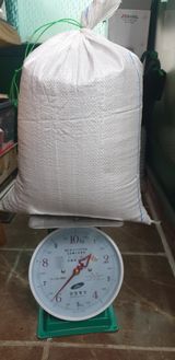 팜모닝 자유주제·사진전 게시글 이미지