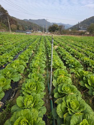 오태원님의 자유주제 · 자유게시판 작성글 사진
