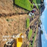 팜모닝 자유주제·자유게시판 게시글 이미지