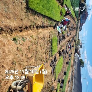 민들레님의 자유주제 · 자유게시판 작성글 사진