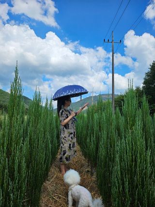 오색땅콩님의 작성글 사진