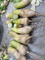 팜모닝 자유주제·자유게시판 게시글 이미지