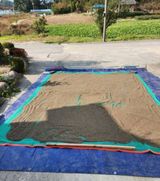 팜모닝 · 게시글 이미지