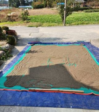 김명옥님의 작성글 사진