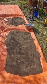 팜모닝 자유주제·자유게시판 게시글 이미지