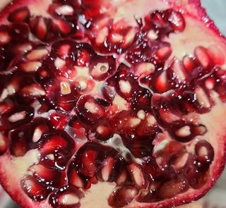 박진하님의 자유주제 · 자유게시판 작성글 사진