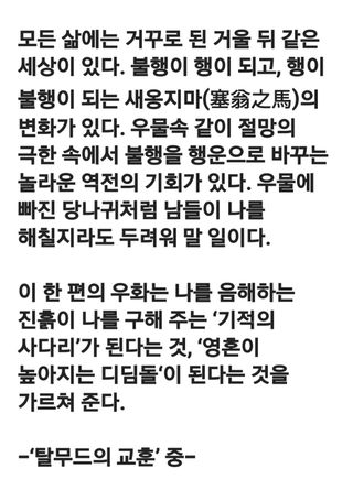 (팽나무*공주)님의 자유주제 · 자유게시판 작성글 사진